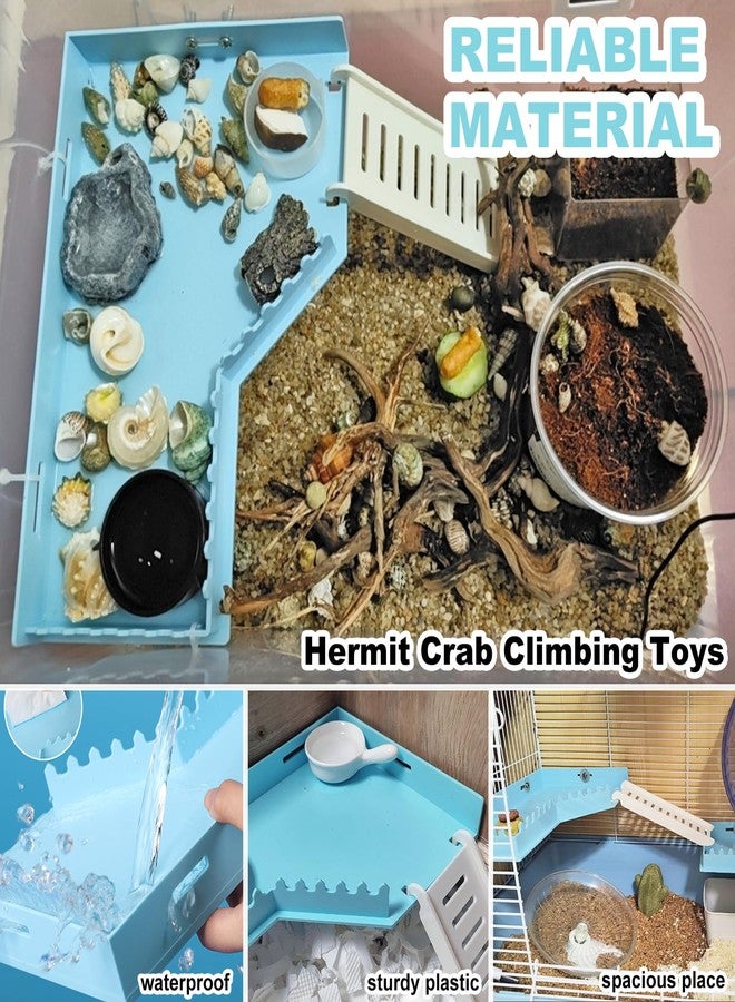 Anranmm Hermit Crab Accessories - Platform with Ladder and Food Dish, Hermit Crab Climbing Toys, Habitat Supplies and Tank Accessories for Reptiles, Hamsters, Geckos, Small Lizards - Image 5